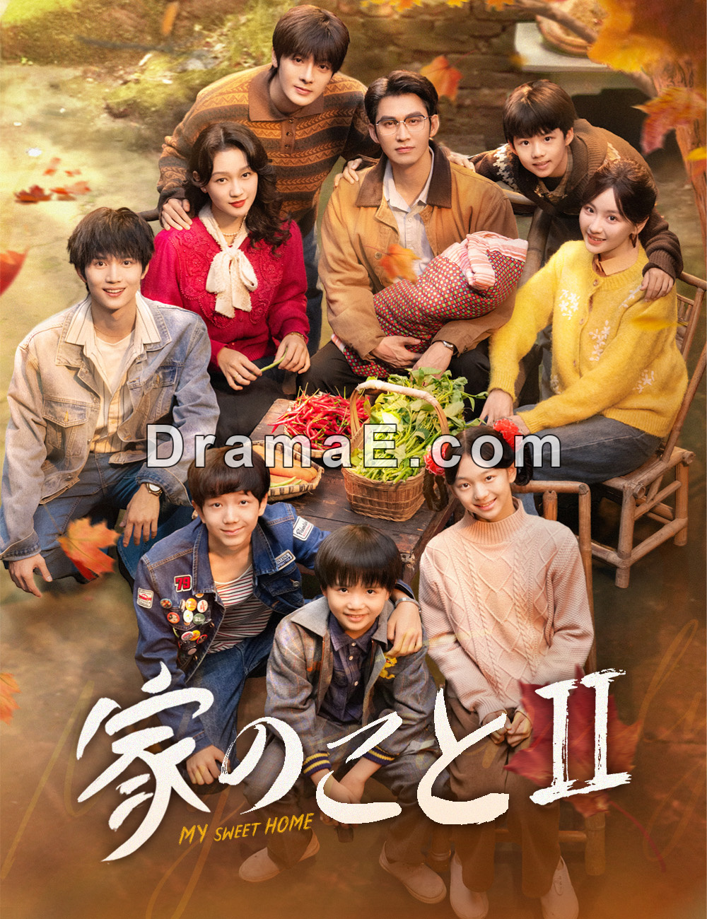 家のことⅡ