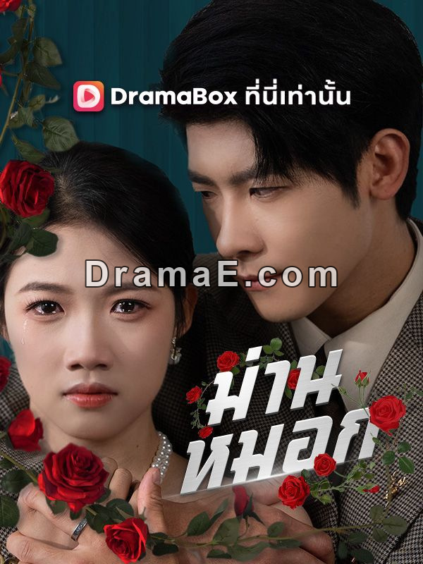 ม่านหมอก(พากย์ไทย)