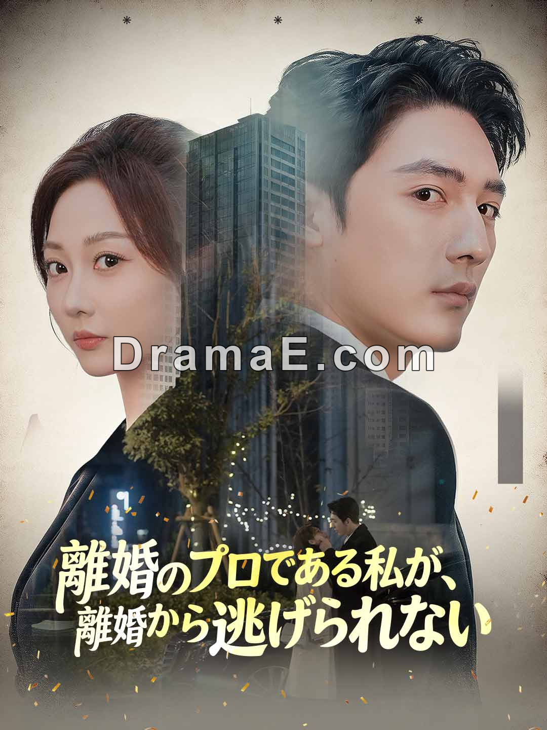 離婚のプロである私が、離婚から逃げられない