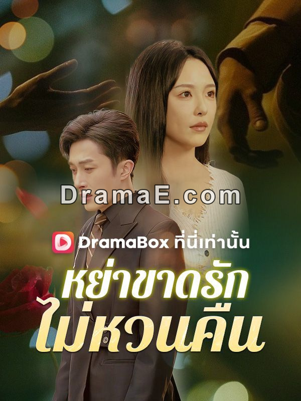 หย่าขาดรัก ไม่หวนคืน(พากย์ไทย)