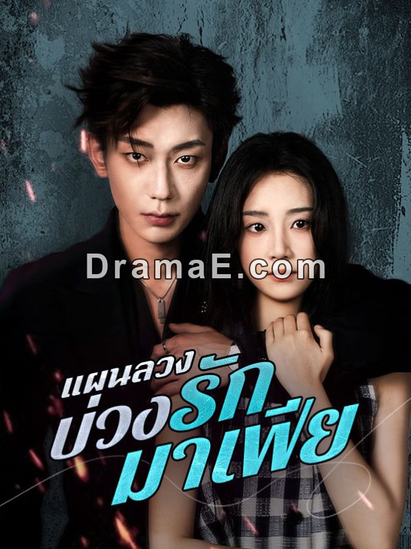 แผนลวงบ่วงรักมาเฟีย(พากย์ไทย)