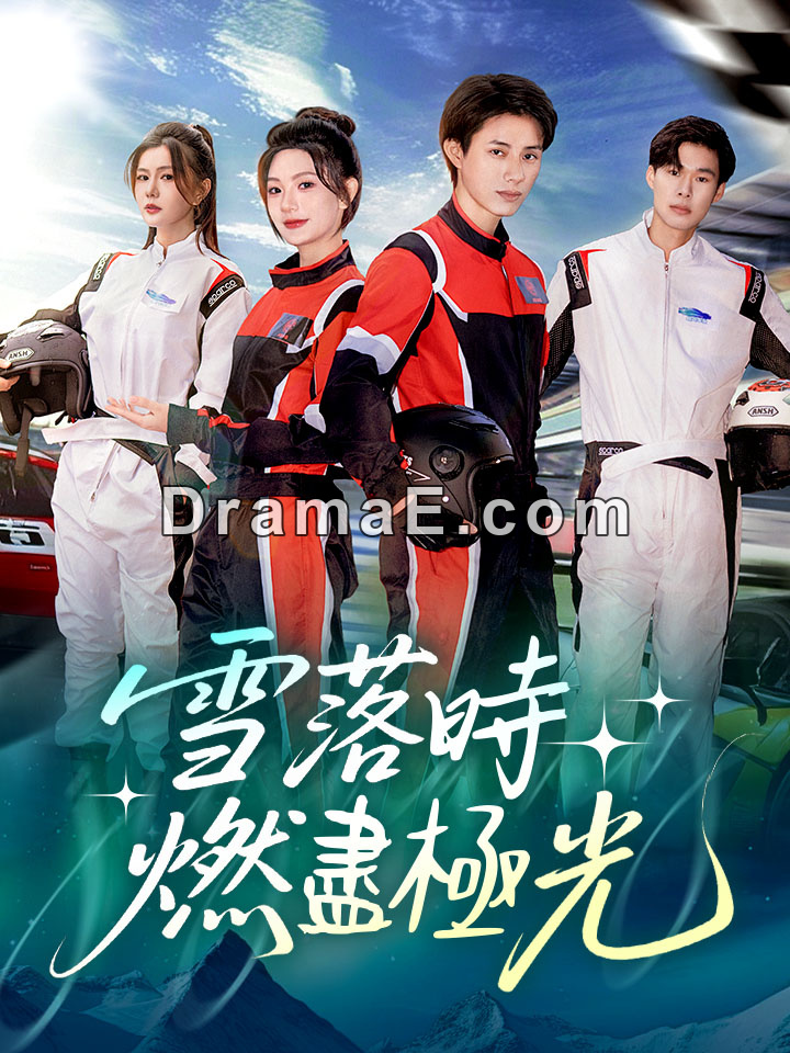 雪落時燃盡極光