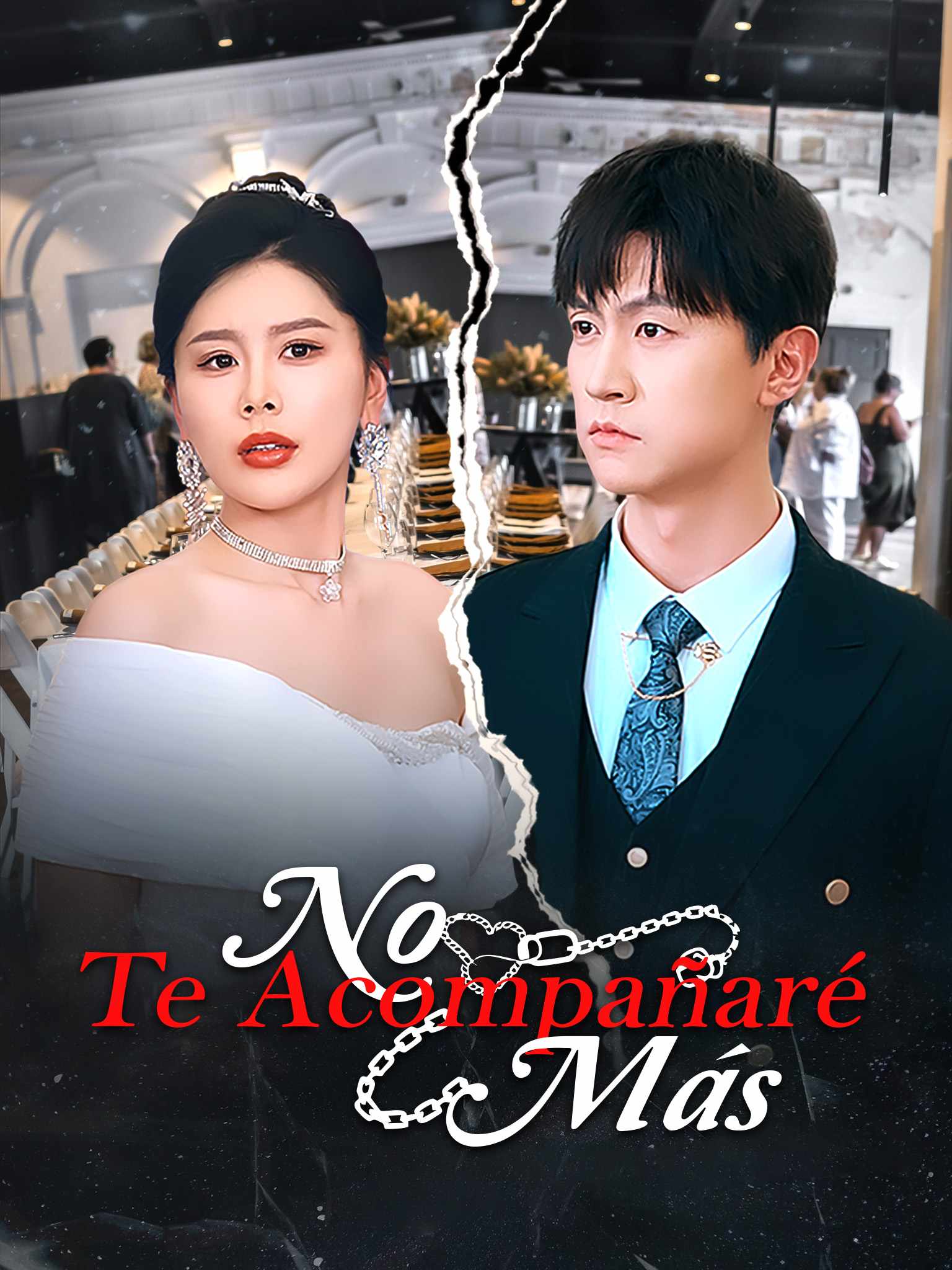 No Te Acompañaré Más