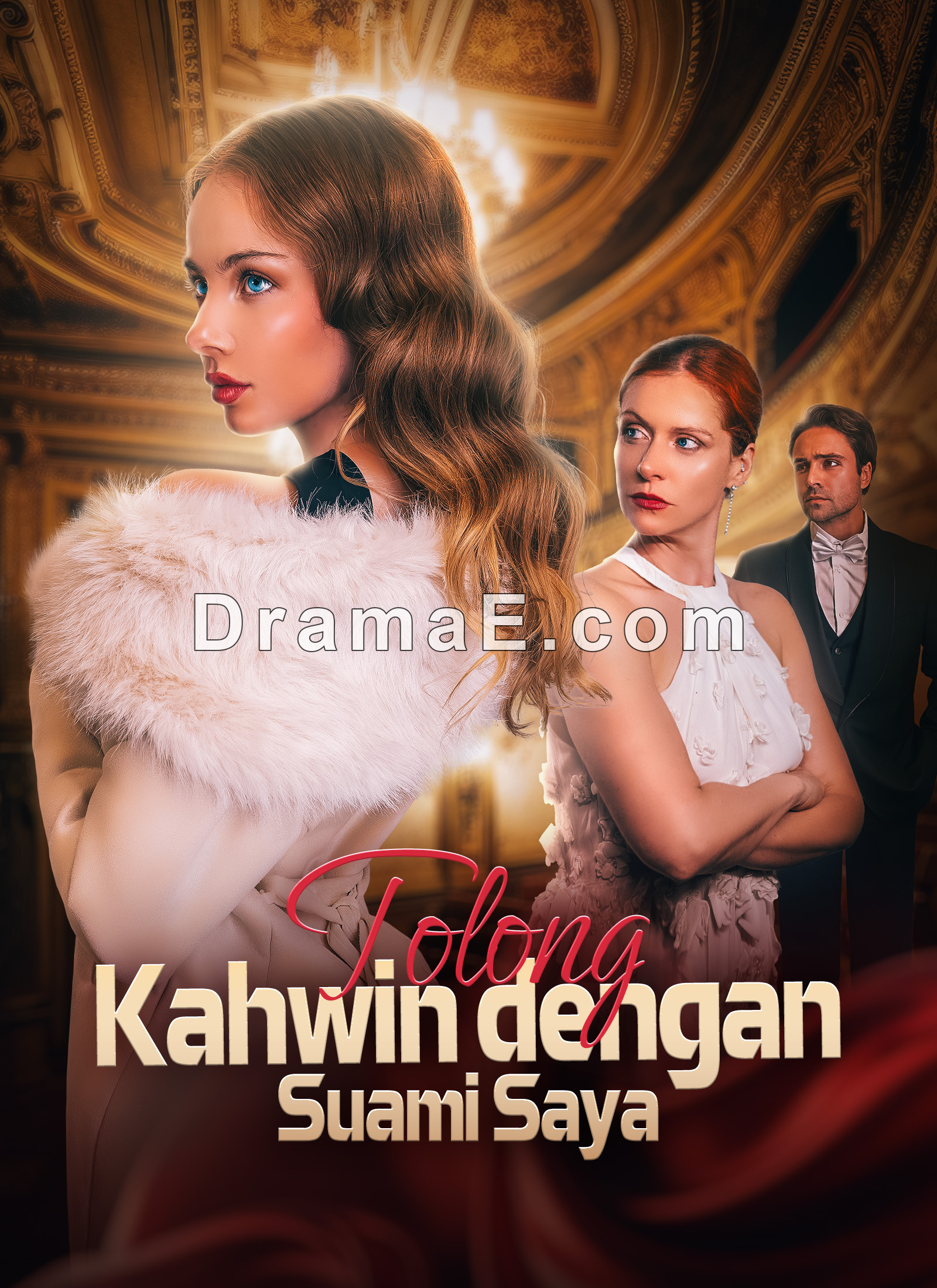 Tolong Kahwin dengan Suami Saya