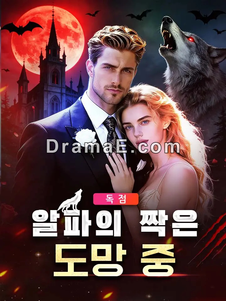 알파의 짝은 도망 중