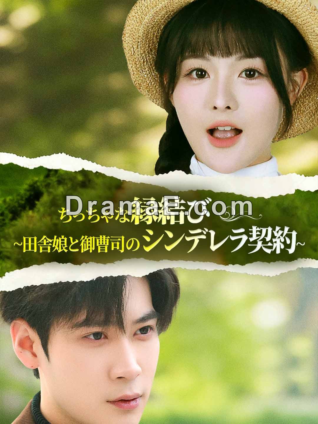 ちっちゃな縁結び ~田舎娘と御曹司のシンデレラ契約~