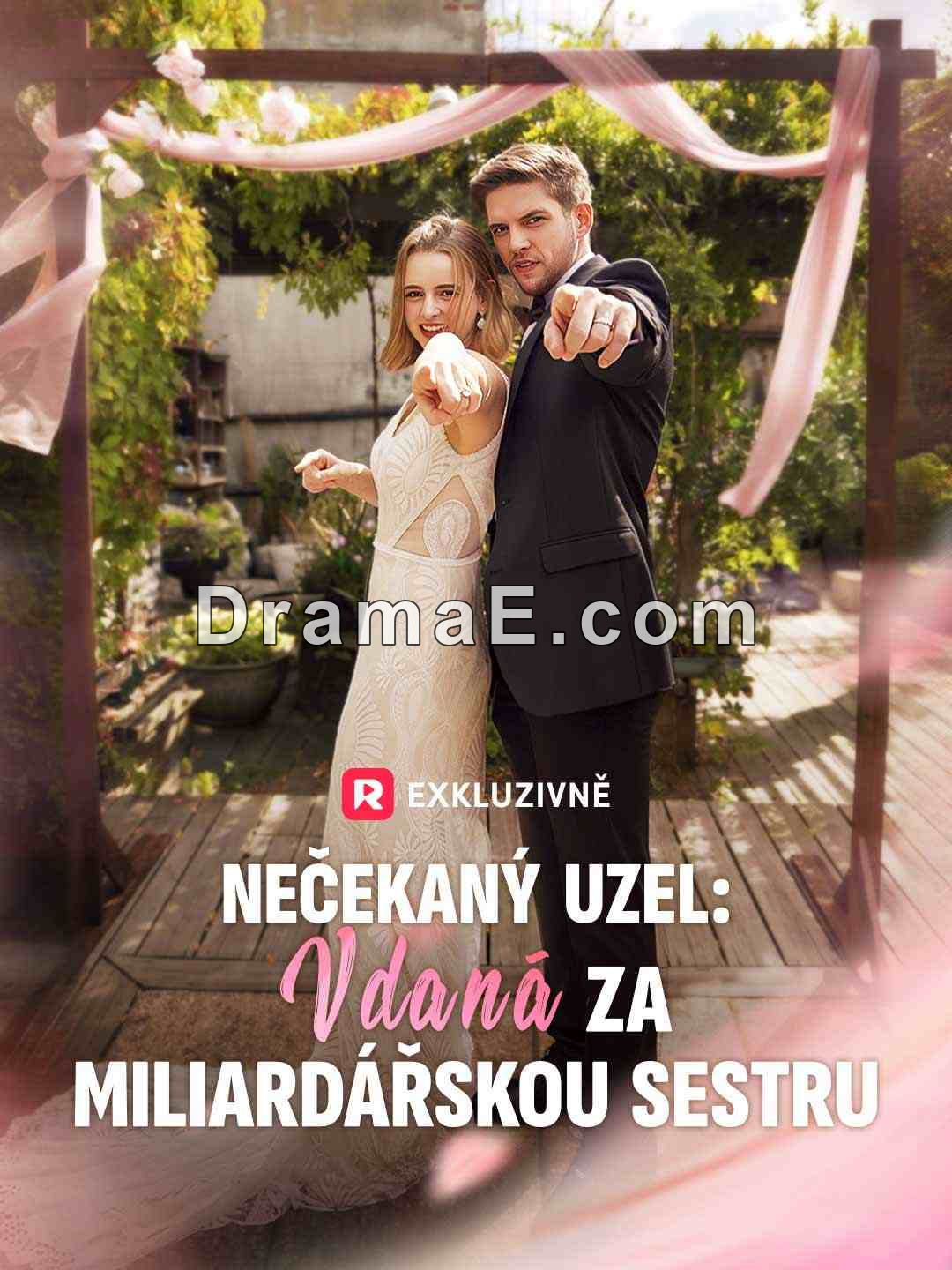 Nečekaný uzel: Vdaná za miliardářskou sestru