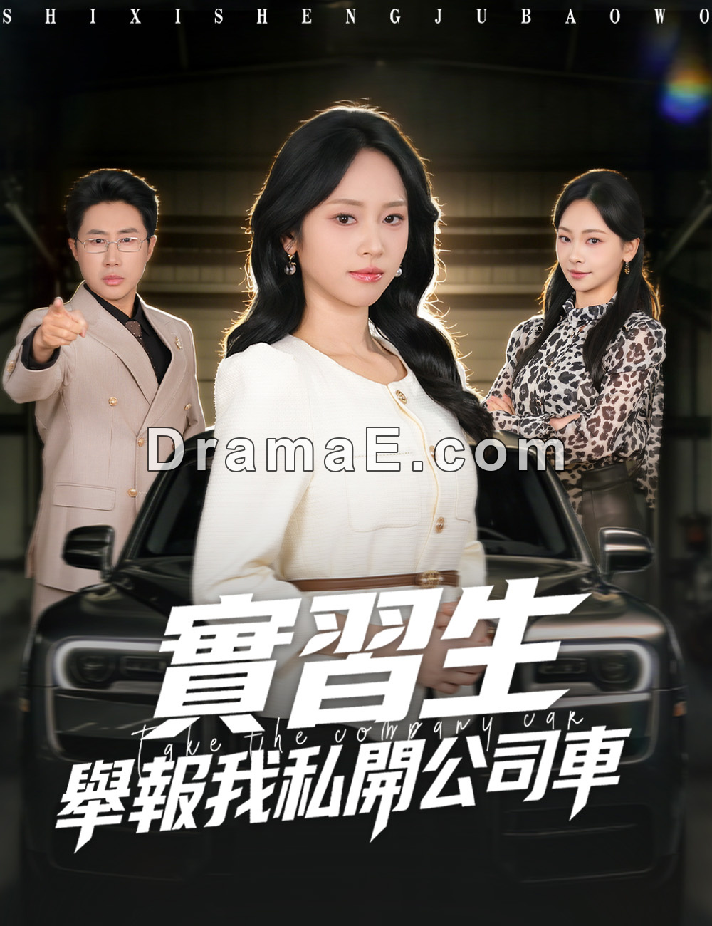 實習生舉報我私開公司車